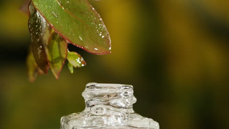water droplet falling on a bottle