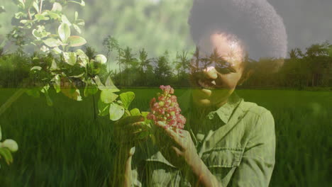 woman smiling holding pink blossoms in rice field, showing animated motion graphics for marketing
