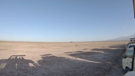 Lion-lying-in-front-of-row-of-tourist-buses-on-safari-in-Amboseli-National-Park,-Kenya