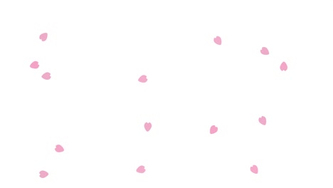 Dancing Cherry Blossoms Animation White Background