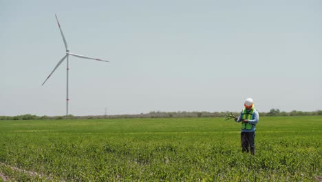 Trabajador-En-Un-Campo-Frente-A-Turbinas-De-Una-Granja-De-Energía-Eólica,-México