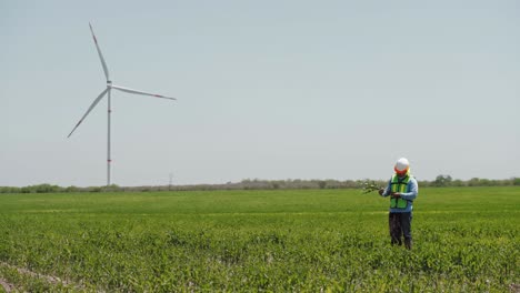trabajador en un campo frente a turbinas de una granja de energía eólica, méxico
