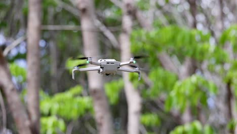 un avión no tripulado volando sobre un bosque