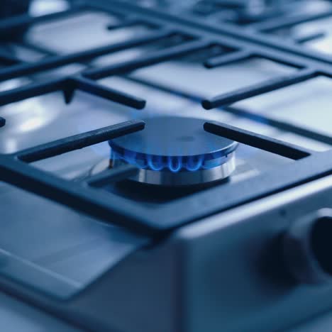 gas stove in the kitchen