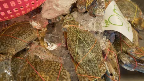 Cangrejo-De-Mar-Fresco-Muerto-En-Un-Cubo-De-Hielo-En-La-Calle-Del-Mercado-De-Pescado-De-Tailandia-Asiática-A-La-Venta