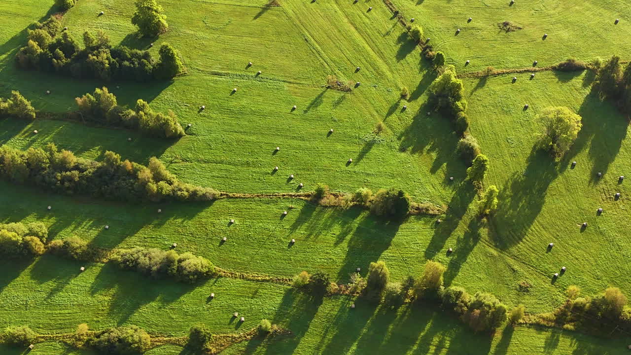 Aerial birdseye rising from rural field with hay bales at golden hour. Latvia