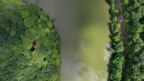 Aerial-view-forest-and-lake-above-view