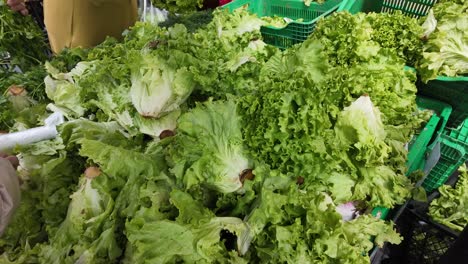 fresh lettuce at a market