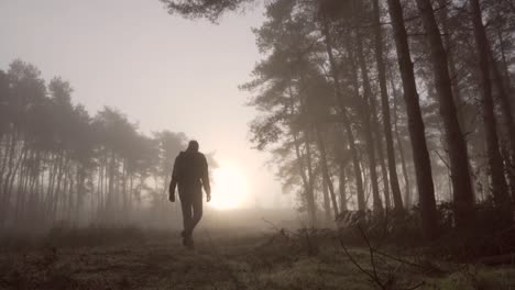 man walking through a foggy forest at sunrise