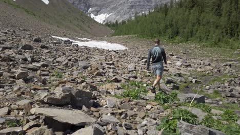 hiker on trail in valley by pine forest rockies kananaskis alberta canada