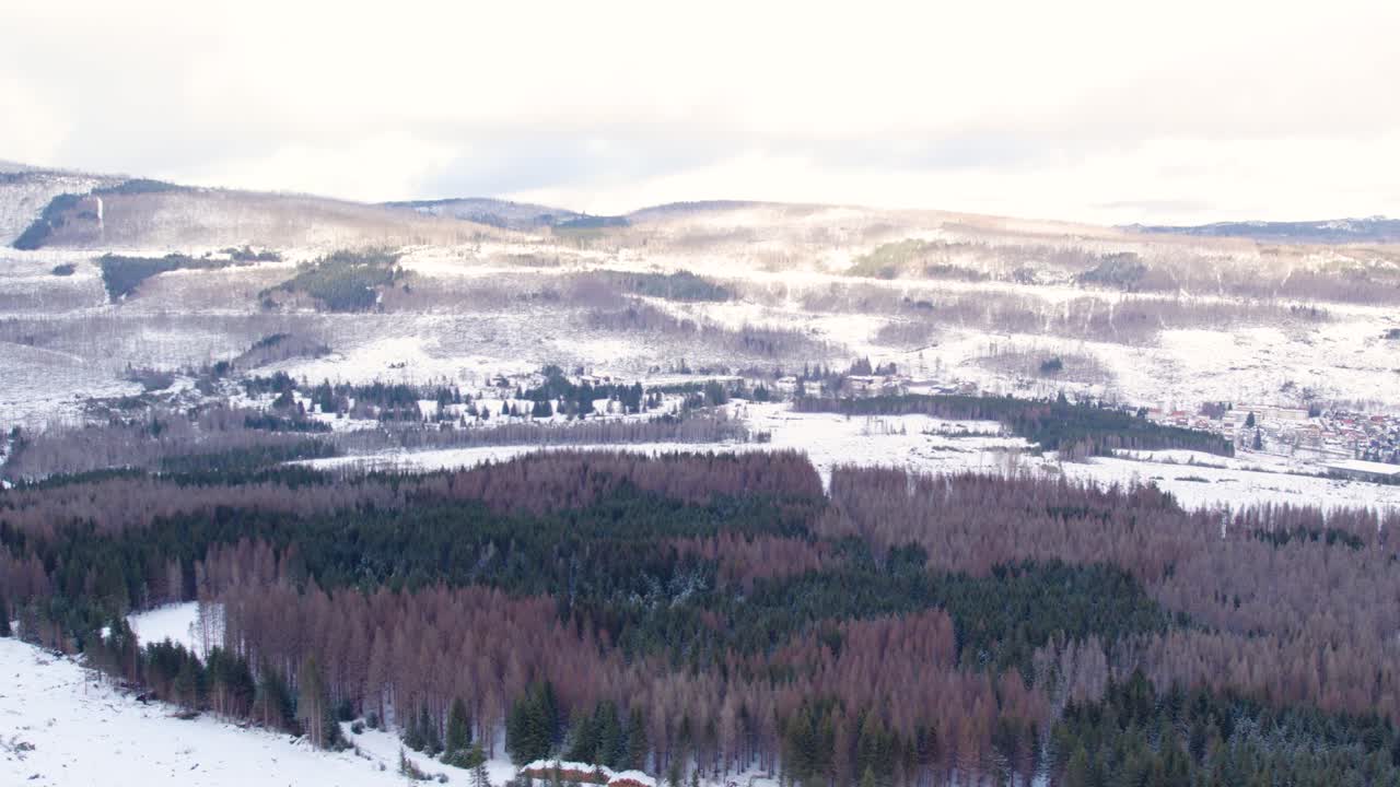 Snow Covered Forest Mountains In The Highlands Of Harz, Germany