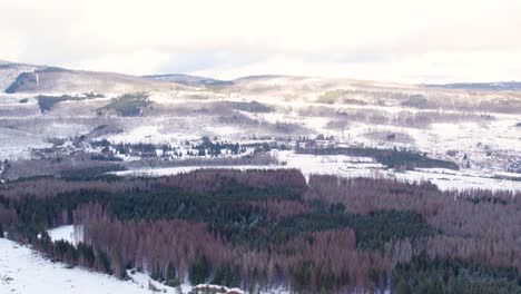 Snow-Covered-Forest-Mountains-In-The-Highlands-Of-Harz,-Germany