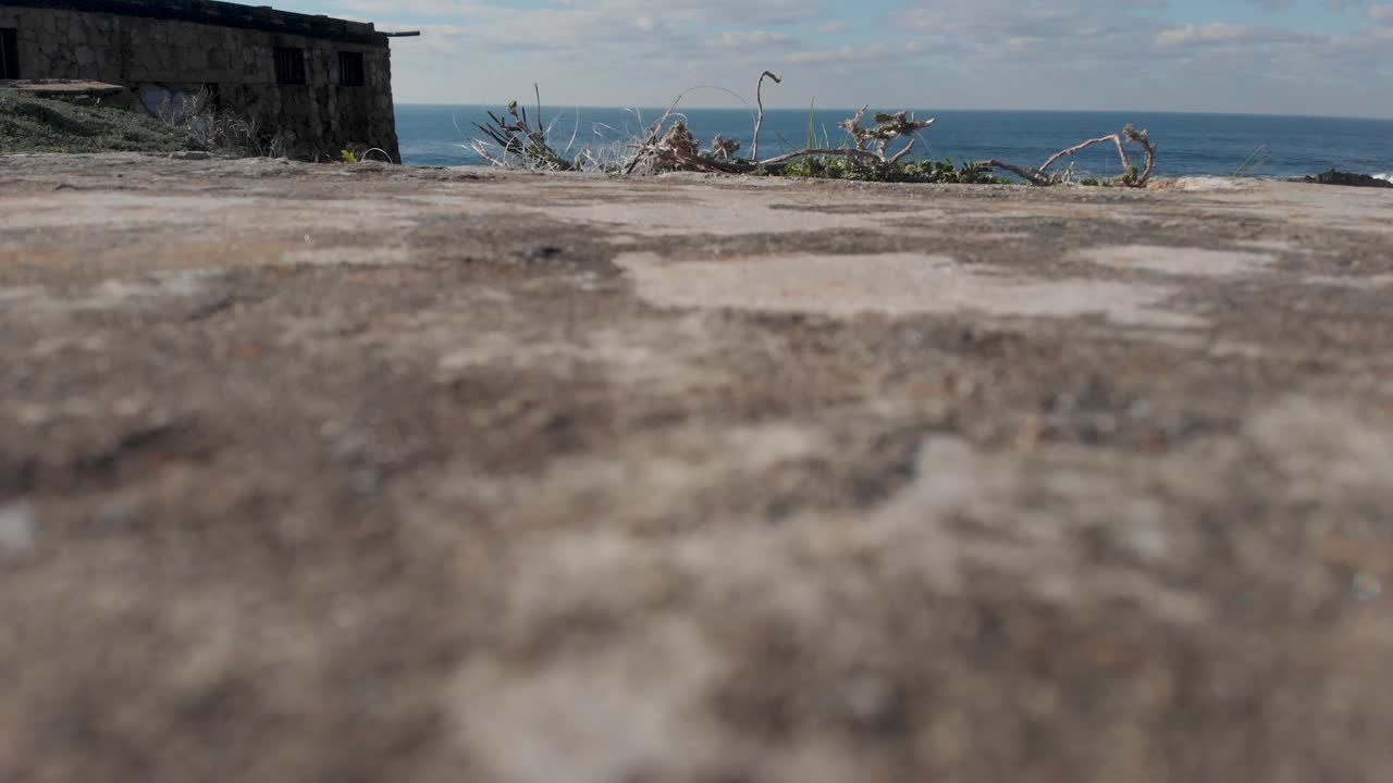 imágenes de drones de flores y océano en guincho, cascais, portugal