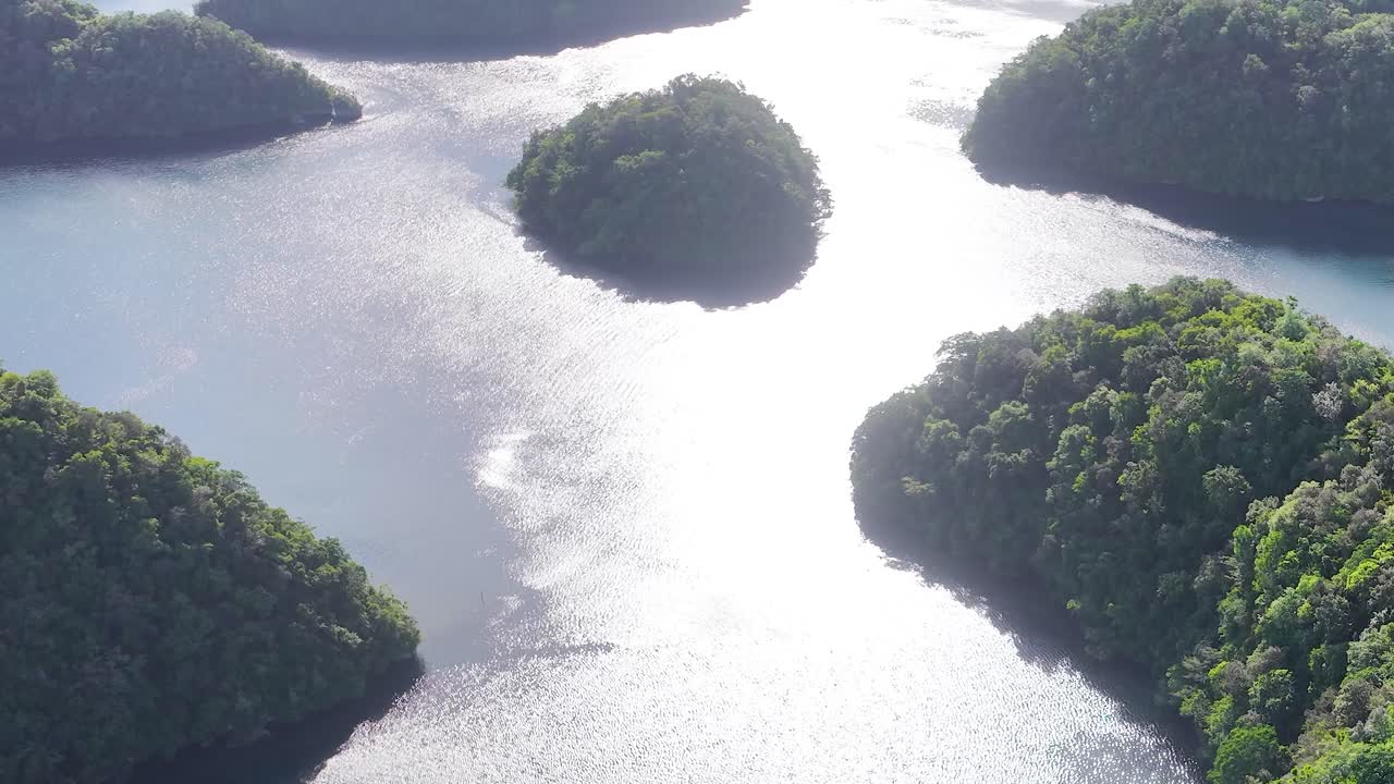 遠隔の熱帯の楽園で、日光が当たる石灰岩の島々とターコイズブルーの海をドローンが高所から捉えるショット。