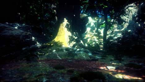 dark forest with moss and sun rays shining trough