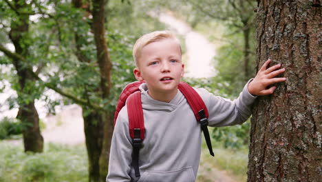 A-boy-walking-on-a-trail-between-trees-in-a-forest,-close-up,-Lake-District,-UK