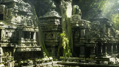 ancient cambodian temples engulfed by lush greenery and sunlight