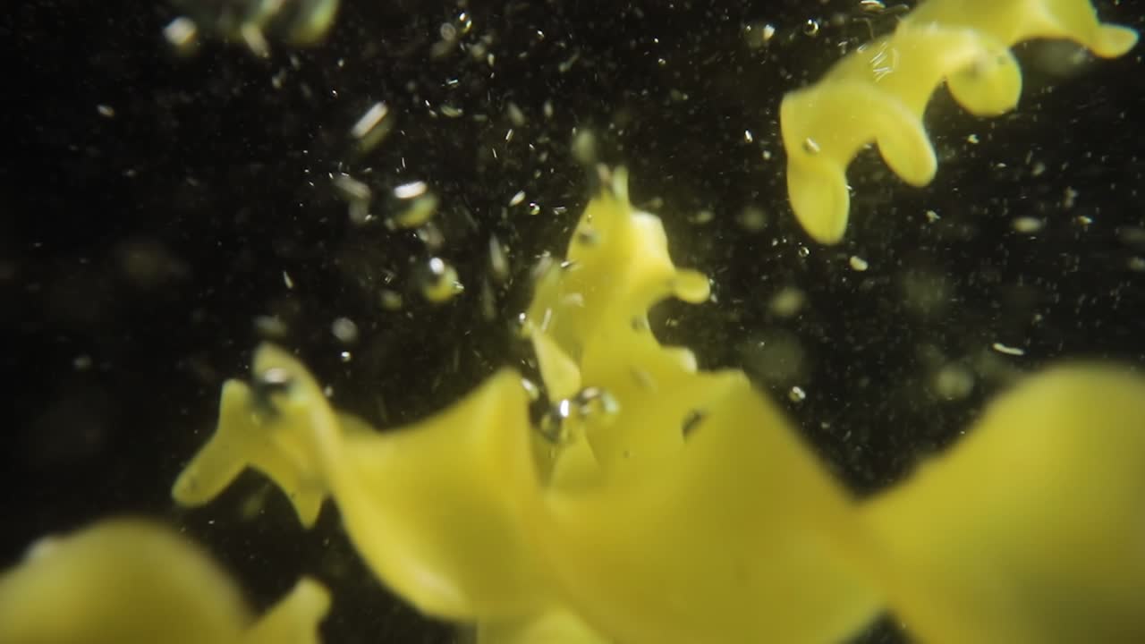 푸실리 파스타가 물에 떨어집니다.