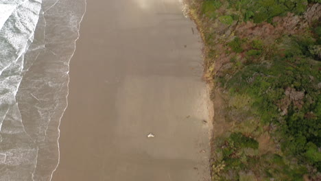 Paisaje-Tranquilo-En-La-Playa-En-El-Sitio-De-Recreación-Del-Estado-De-Los-Siete-Diablos