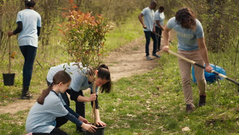 Equipo-De-Voluntarios-Que-Cultivan-El-Hábitat-Natural-En-Un-Bosque.