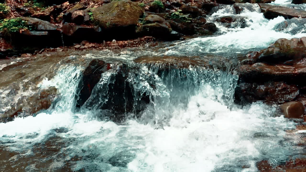 Acqua di sorgente cristallina e fredda che scorre tra le pietre. Torrente di montagna.