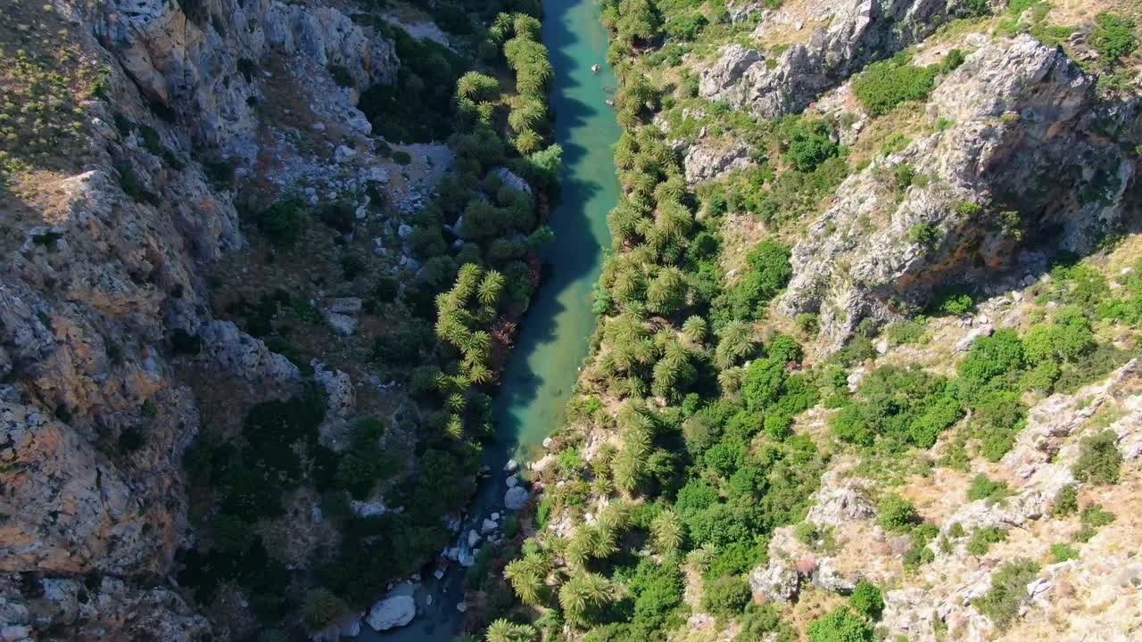 antena de un hermoso río rodeado de palmeras que fluye a través de un desfiladero en preveli, creta