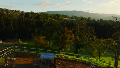 close up aerial passing by over fenced horse stall in kürnberg, austria, flyby tree canopy to reveal lush green mountain landscape