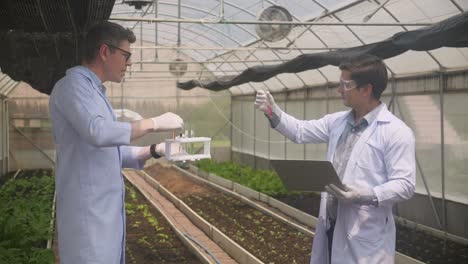 two scientist man research with chemical and laptop computer plant about agriculture in the farm, researcher testing about botany and harvest of produce with biology and science in the gardening.