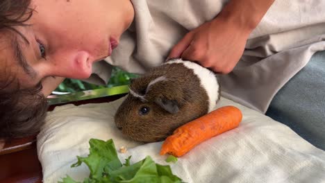 person interacting with a guinea pig