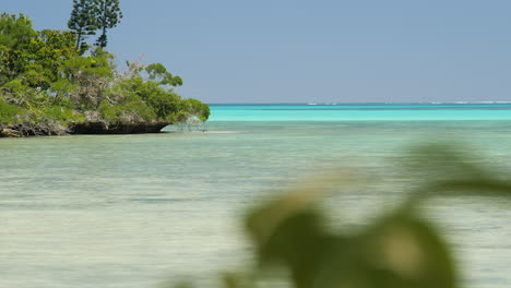 Ein-Unberührter-Tropischer-Strand-Mit-Türkisblauem-Wasser-Auf-Der-Insel-Der-Kiefern---Nach-Oben-Kippen-Offenbaren