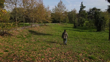 autumn walk among green trees