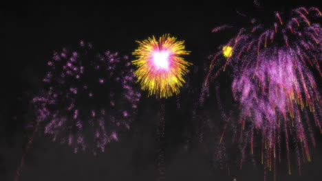 bursting colorful fireworks in night sky, celebrating with animation