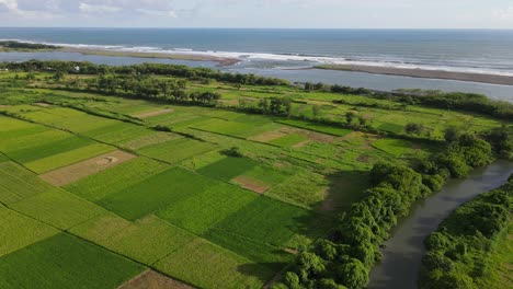 Aerial-view-of-tropical-country