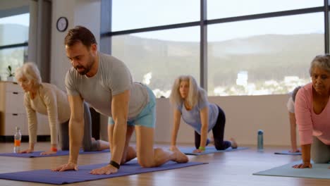 Trainer-assisting-senior-women-in-performing-yoga-4k