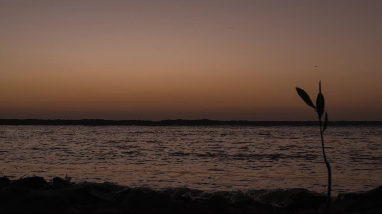 Orange Sunset Timelapse at ground lavel on the beach. There are birds passing by on the shot while they fly by the sea in Sispatá Bay in Colombia (South América).