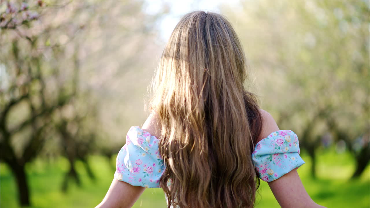 Brunette woman in a blue dress spinning in a field of blooming almond trees