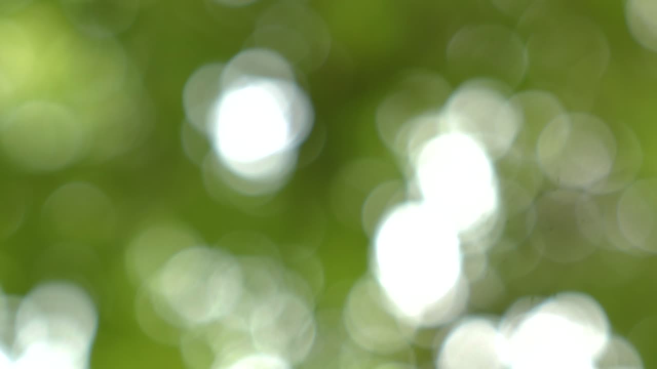 Green leaves bokea effect background