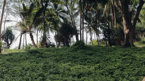 Man-walking-through-garden-in-luxury-resort