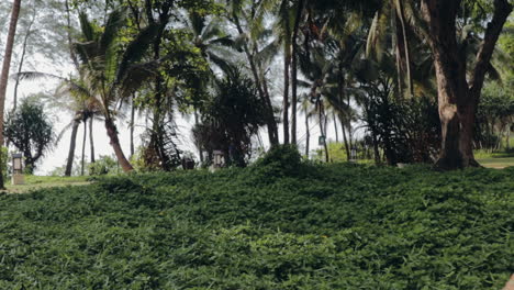 man walking through garden in luxury resort