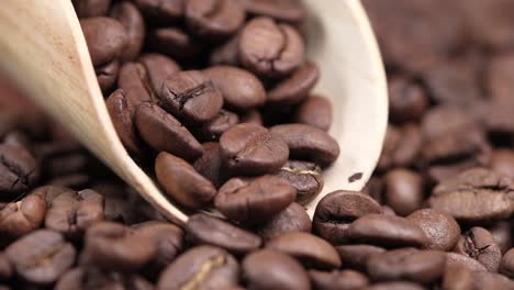 coffee beans in a wooden scoop