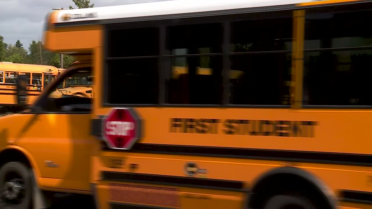 ROW OF PARKED SCHOOL BUSES