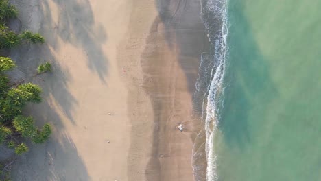 Grüne-Naturbäume-An-Einem-Tropischen-Strand-Mit-Blaugrünen-Wellen-Aus-Dem-Meer