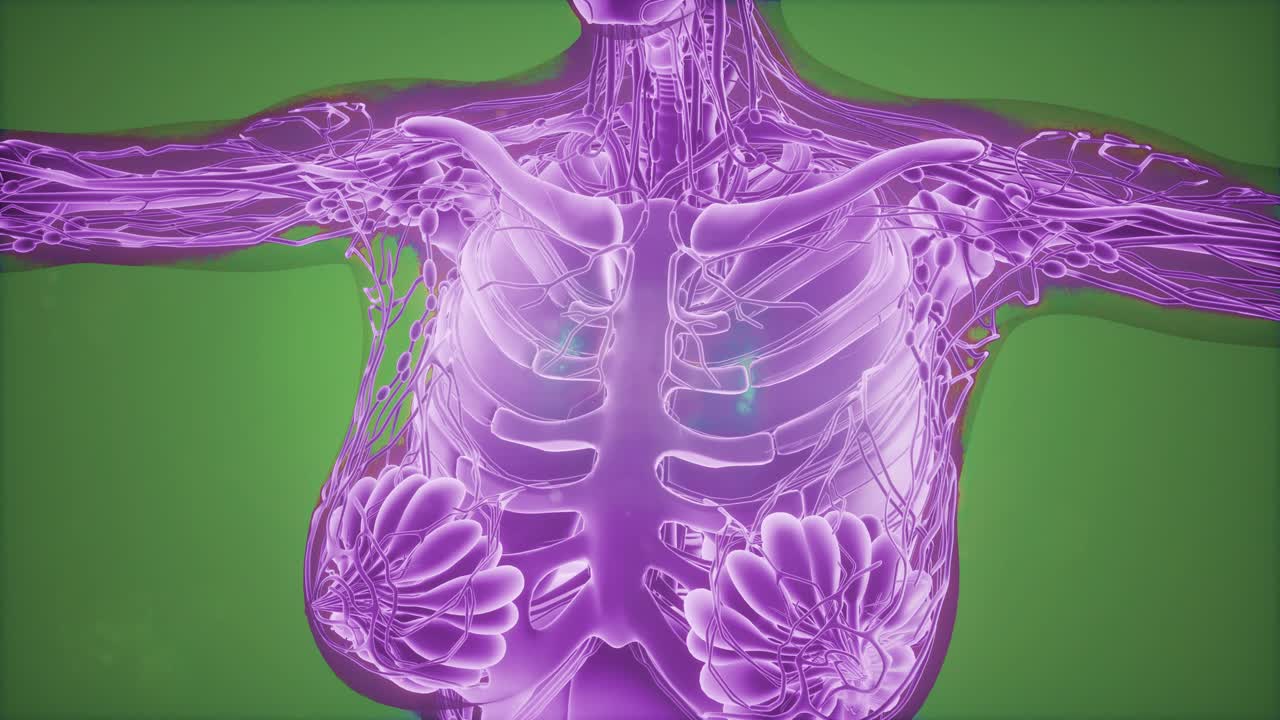 radiografía de mamografía para el diagnóstico del cáncer de mama