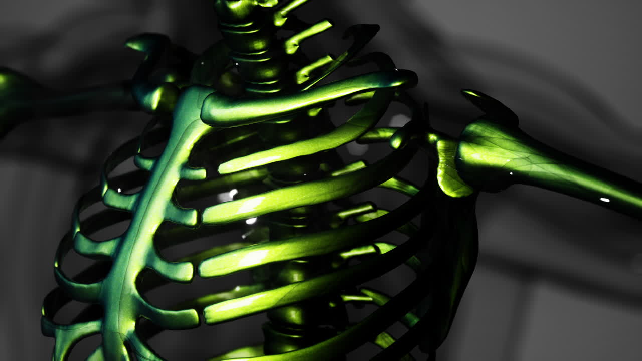animación médica renderizada en 3d de unos huesos humanos