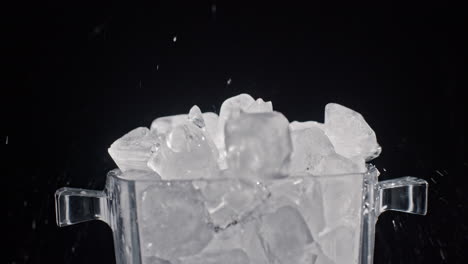 muchos cubos de león caen en un contenedor con hielo sobre un fondo negro