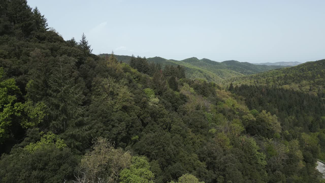 Verdant forest blanketing mountain slopes, revealing pristine wilderness landscape bathed in soft sunlight with expansive blue sky in background