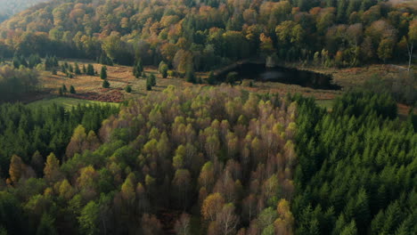 scenic landscape with pond and colorful autumn trees in fagne du rouge poncé, belgium - aerial drone shot