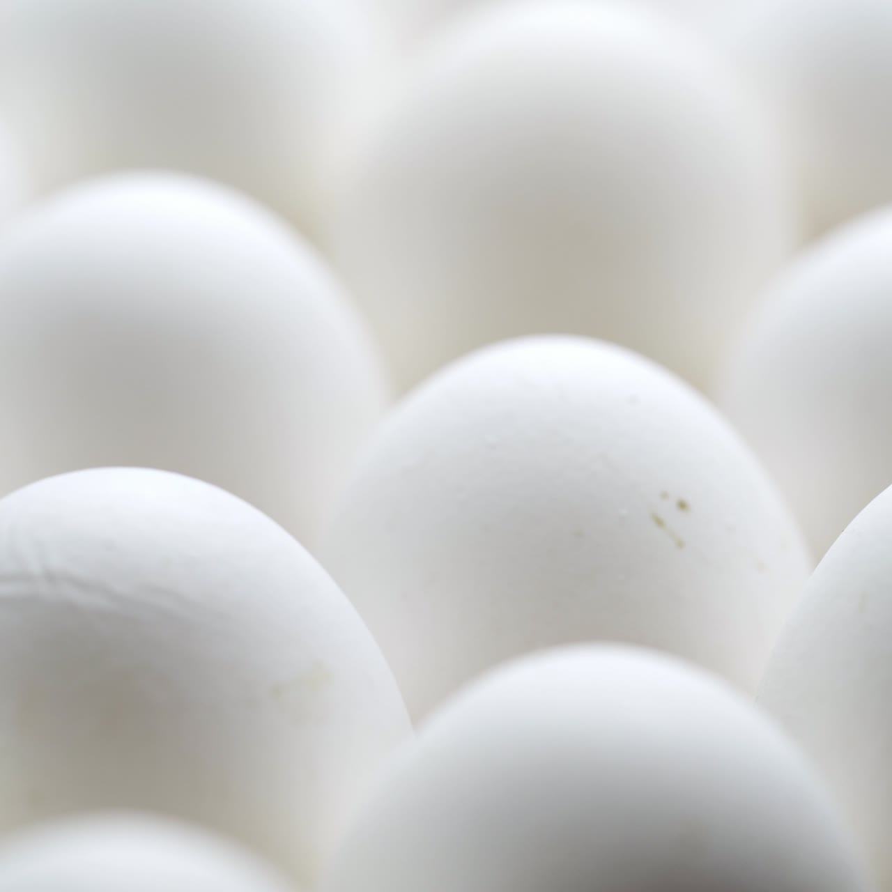 White chicken eggs in a cardboard box. Eggs in a paper tray.