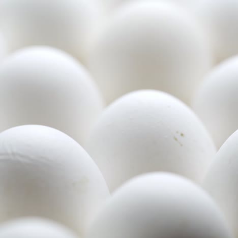 white chicken eggs in a cardboard box. eggs in a paper tray.