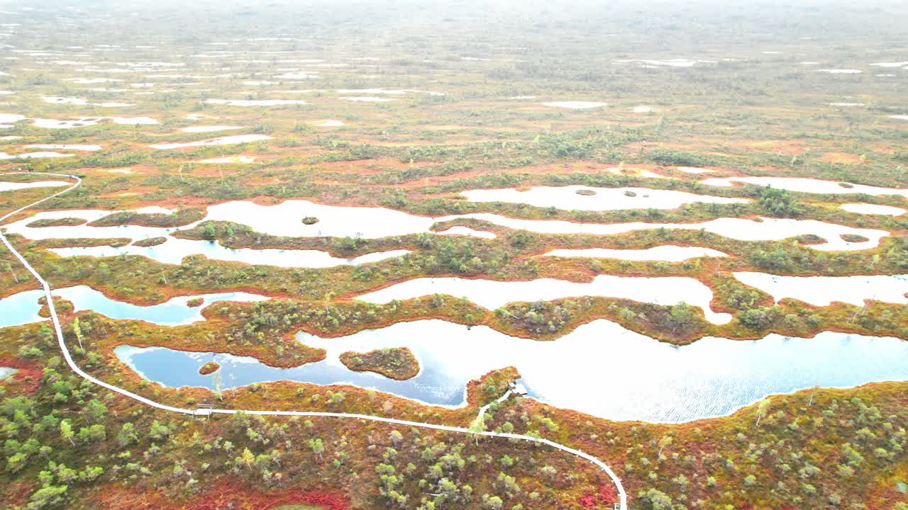 Discovering the diverse beauty of Kemeri swamp in Latvia from above